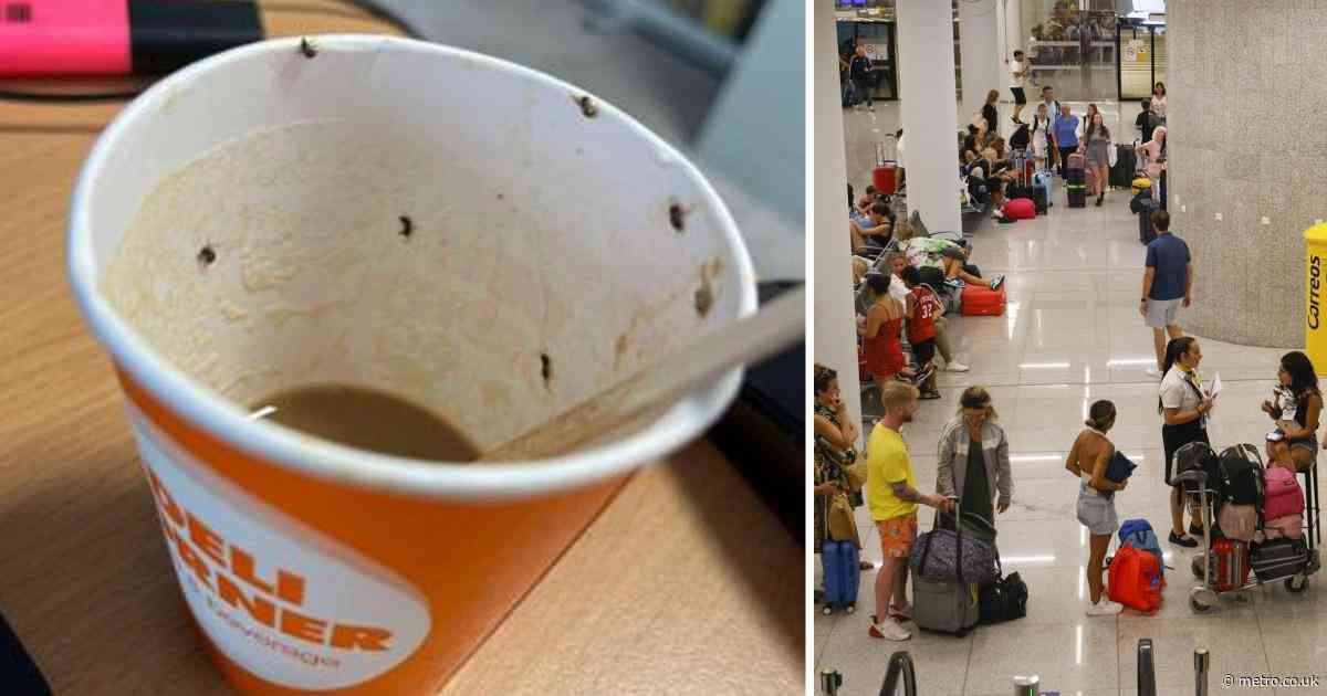 Woman in hospital after drinking insect-filled vending machine coffee at airport