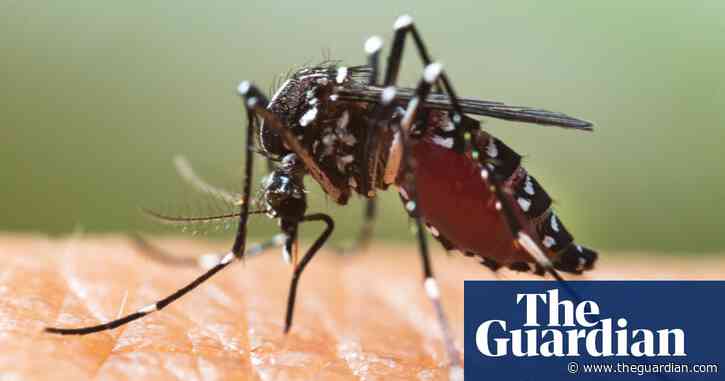 Mosquito-borne diseases spreading in Europe due to climate crisis, says expert