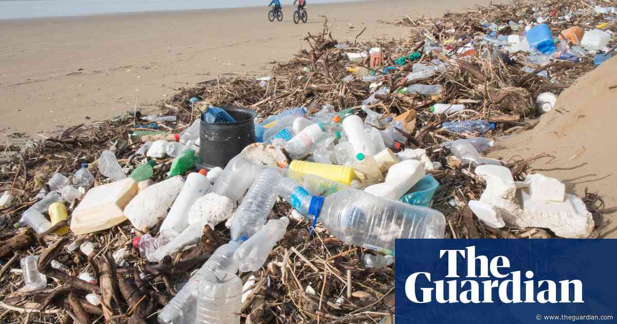 Survey finds that 60 firms are responsible for half of world’s plastic pollution