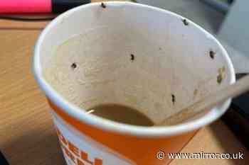 Woman's throat closes up after opening airport coffee cup and finding it filled with insects