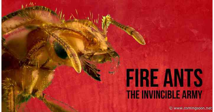 Fire Ants 3D: The Invincible Army Streaming: Watch & Stream Online via Amazon Prime Video