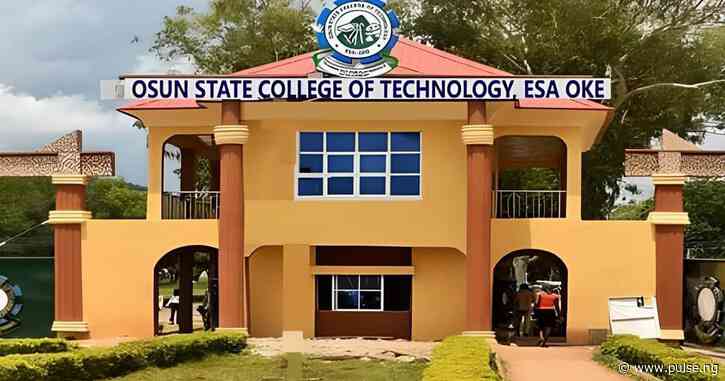 Poly education vital for tech upgrade, neglected by Govt - Osun College boss