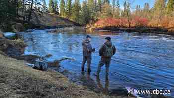Anglers help protect urban fishing oasis in northwestern Ontario as trout spawning run begins