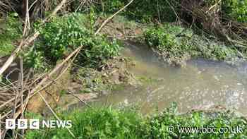 Sewage in chalk stream 'unacceptable' - water firm
