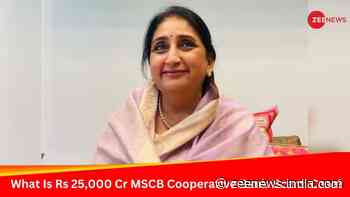 Ajit Pawar`s Wife Sunetra Gets Clean Chit In MSCB Case, What Is The Rs 25,000 Cooperative Bank `Scam`?
