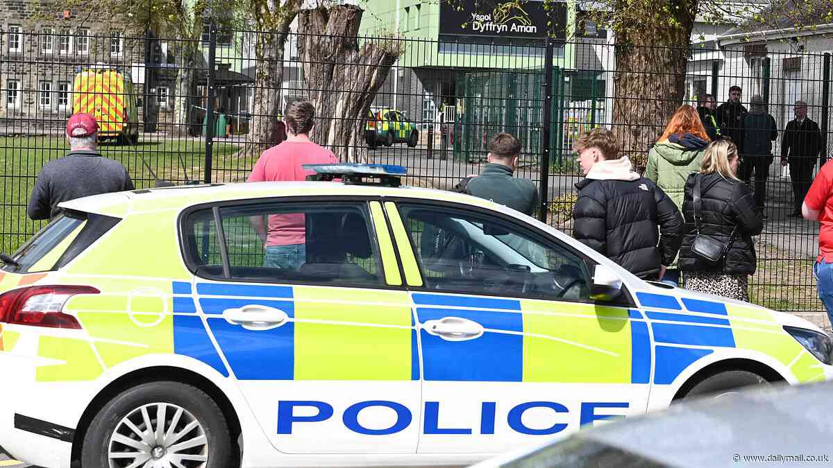 Teenage boy arrested in Ammanford hours after school stabbing left two pupils and teacher injured