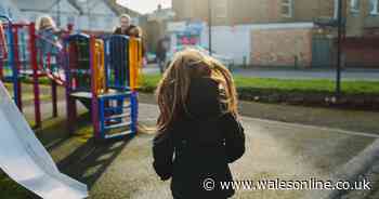 Playgrounds 'no-go areas' as third of children have been injured