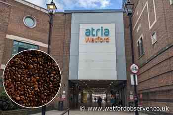 Black Sheep Coffee cafe 'coming soon' to atria Watford
