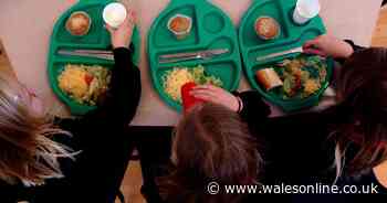 The one major problem with free school meals for primary school children in Wales