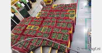 Mexicaanse staat Jalisco mikt op verdere uitbreiding avocado-export