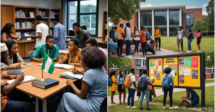 'Free tuition and travel': UK varsity offers Nigerians full scholarship