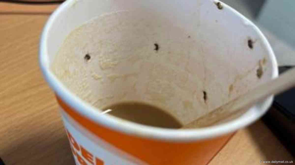 How YOU could end up swallowing deadly insects in your coffee: The disgusting hidden dangers of drink vending machines that can be a breeding ground filled with larvae