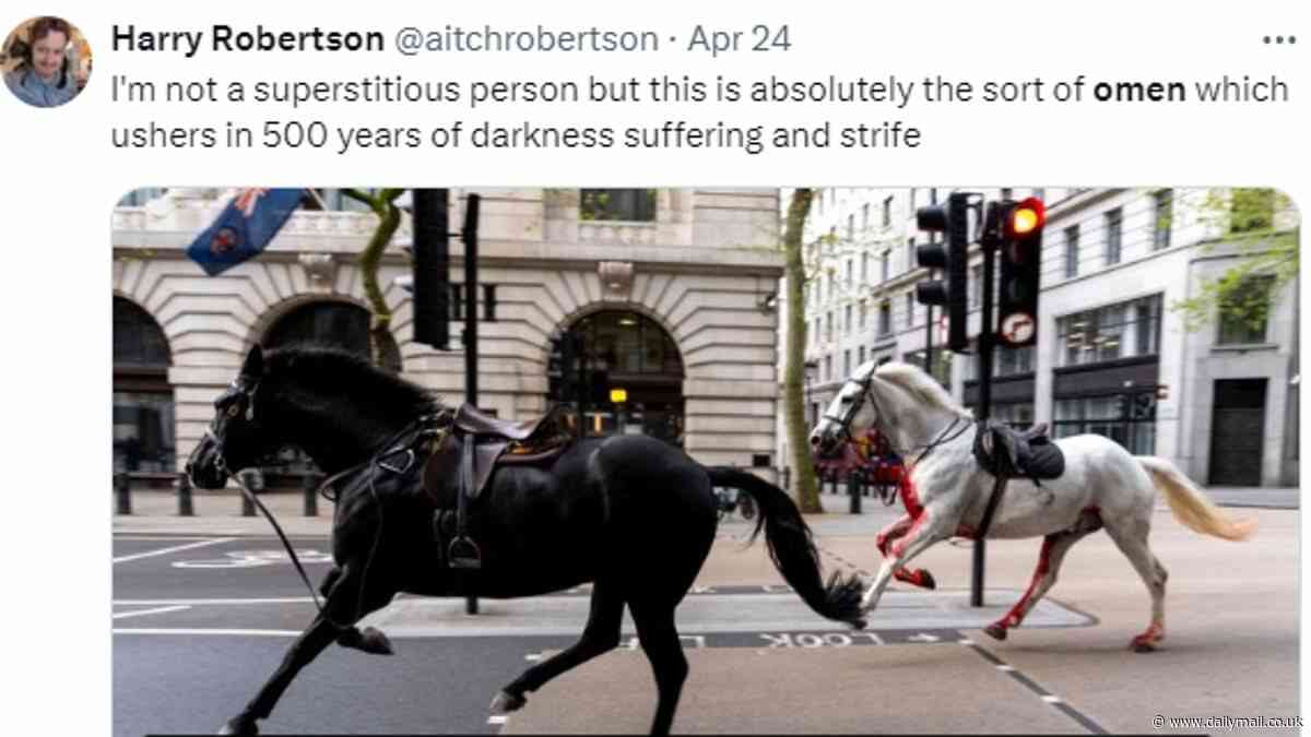 Social media users claim rampaging Household Cavalry horses are an 'omen'