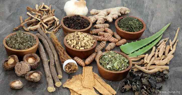 herbs to avoid during pregnancy