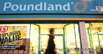 Poundland closes nine former Wilko stores including one in North East just months after opening