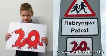 People are getting very angry about 20mph speed signs made from a child's cartoon dragon