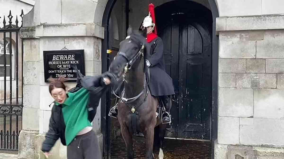 When Household Cavalry horses run wild: From the Platinum Jubilee to the Coronation, how ceremonial steeds haven't always been able to keep their composure