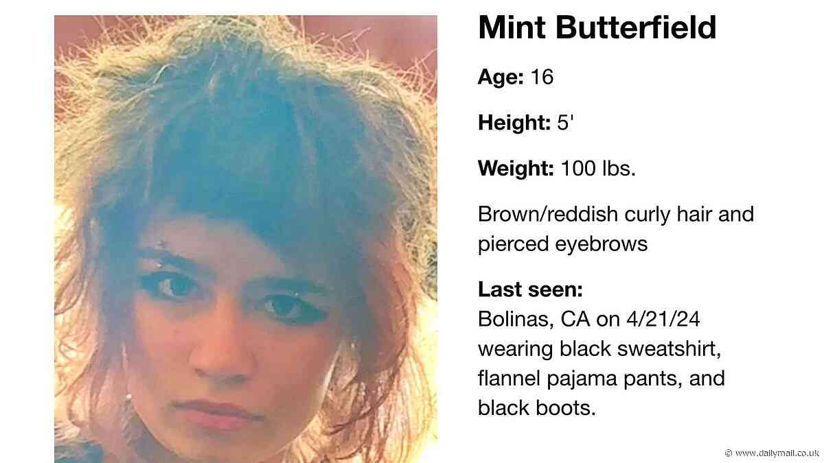 Missing tech billionaires' daughter, 16, is last seen at ferry port town 40 miles from San Francisco's drug-riddled Tenderloin district amid fears she ran away from home at the weekend still in her pajamas before her mom raised the alarm