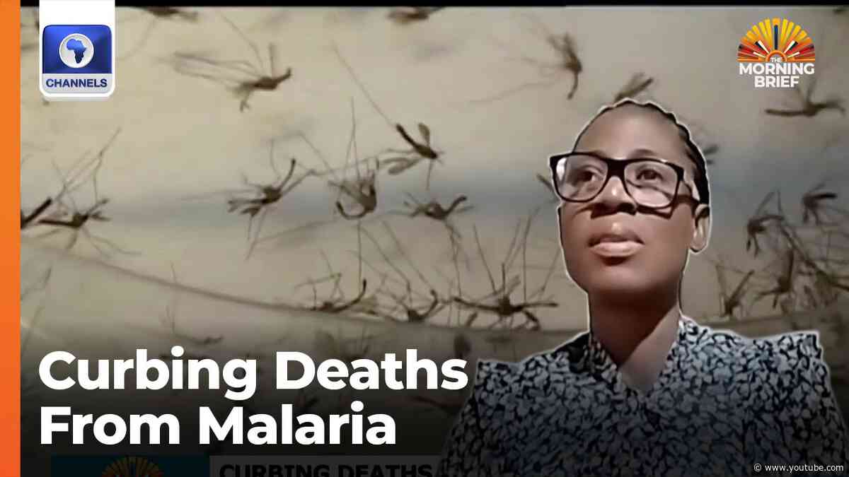 How Nigeria Can Curb Deaths From Malaria - Physician