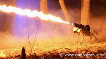 US-Firma rüstet Roboterhund mit Flammenwerfer aus – zum Brandschutz