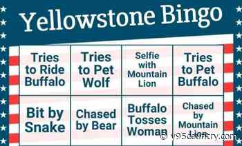 Get Your Yellowstone Bingo Card For Tourist Season