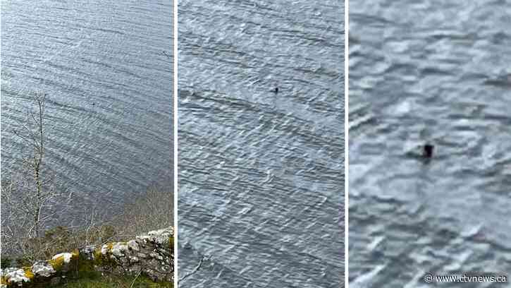 Something in the water? Canadian family latest to spot elusive 'Loch Ness Monster'