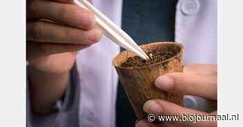 "Europees Parlement bevordert biologische plantenveredeling met stemming over nieuwe PRM-wetgeving"