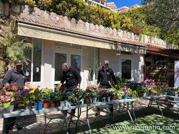 Un jardinier du parc Princesse-Antoinette à Monaco vous donne 4 conseils pour bien rempoter vos plantes