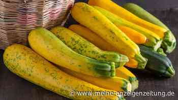 Im Mai Zucchini anpflanzen und mit einem Trick mehr Ernte erhalten