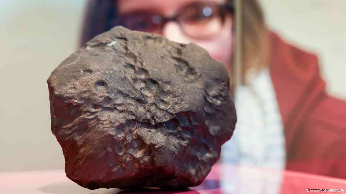 Sensations-Meteorit „Elmshorn“ wird in Museen ausgestellt