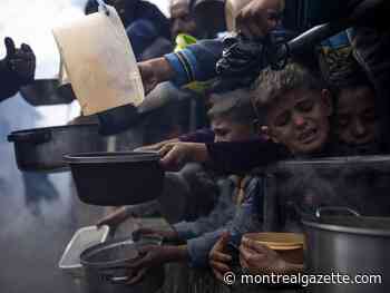282 million people faced acute hunger in 2023, with the worst famine in Gaza: UN