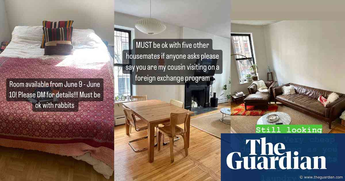 ‘Must love dogs and rude roommates’: the scramble to get around New York’s Airbnb crackdown