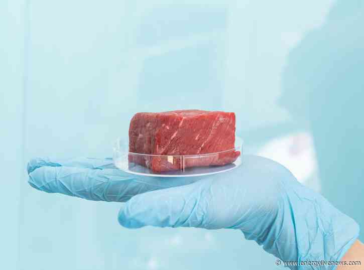 Good lab-meat should taste like real meat, says expert