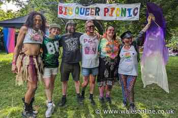 Plans to hold largest ever Big Queer Picnic in Cardiff this summer