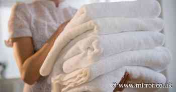 Stiff and scratchy towels soften instantly when cupboard staple is mixed with hot water