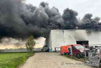 Industriebrand in Sint-Pieters-Leeuw: loods staat in lichterlaaie