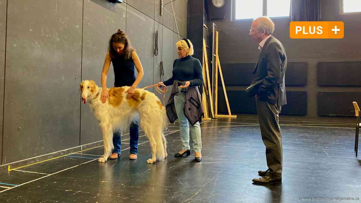Veto vom Veterinäramt: Hundeverbot auf der Ulmer Theaterbühne
