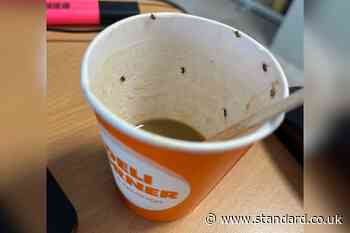 Woman rushed to hospital after drinking coffee contaminated with insects in Majorca