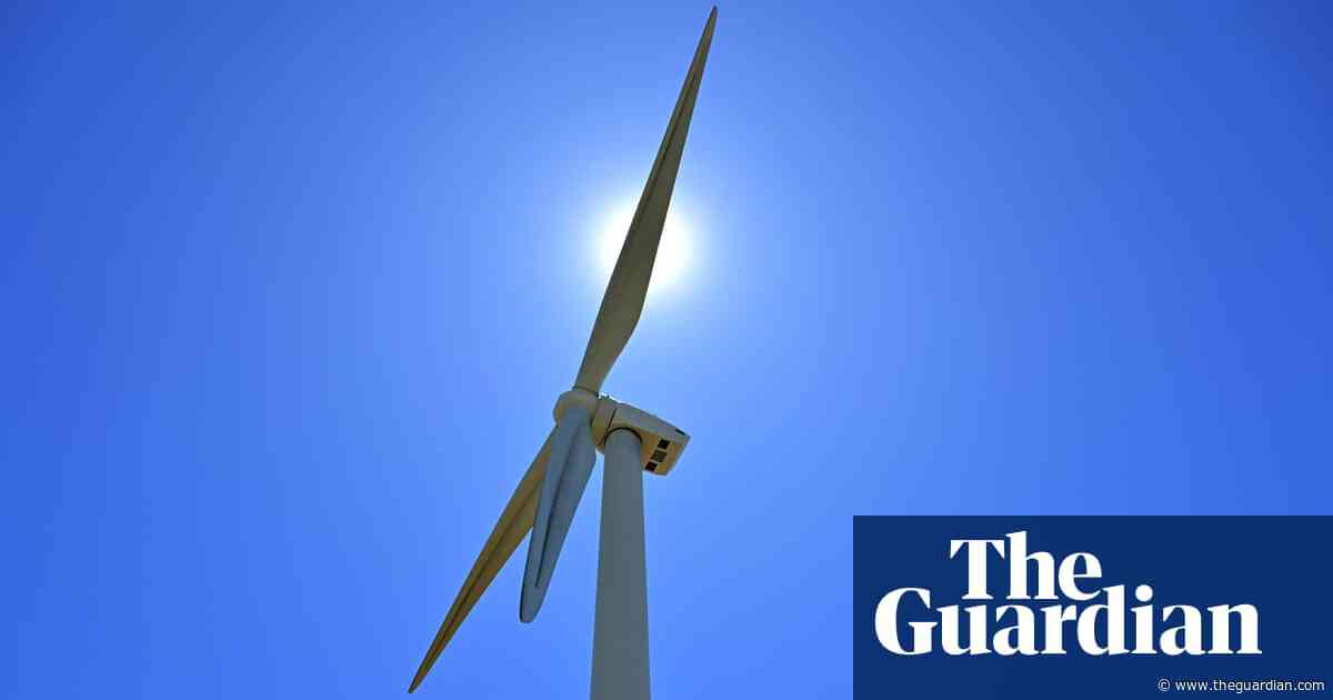 Tanya Plibersek rejects claims renewable projects are being held up by approval delays