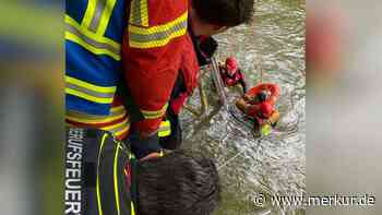 Frau in Isar entdeckt: Bauarbeiter springt in die Fluten, um sie zu retten