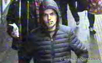 Police CCTV appeal after sexual assault on escalator at Oval Tube station