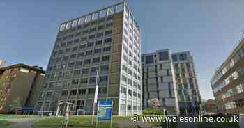 Student, 19, dies after falling from sixth floor Swansea University window