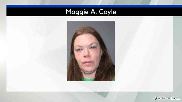 Woman admits to drunk driving in connection with hitting pedestrians