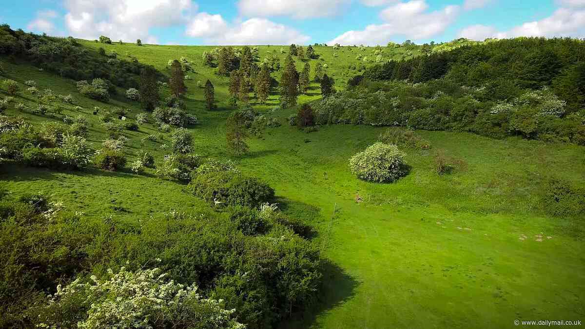 Locals lose battle to stop 360 homes being built on picturesque 'Watership Down' farmland
