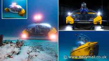 James Bond, eat your heart out! Futuristic submarine resembles a UFO and can take eight passengers to depths of up to 656ft