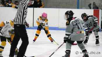 Tavistock Minor Hockey fights for all-girls team in its organization