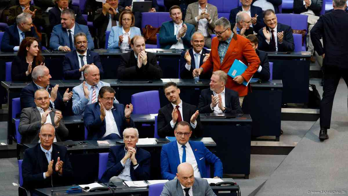 Aktuelle Stunde im Bundestag: "AfD wirft sich Diktatoren an den Hals"