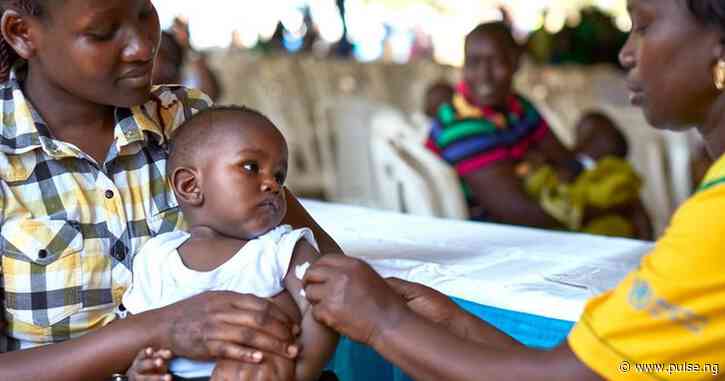 UK commits £1bn to global fund against malaria in Nigeria from 2024-2026