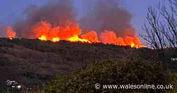 Arsonists suspected of starting huge hillside fire as pictures show scale of blaze