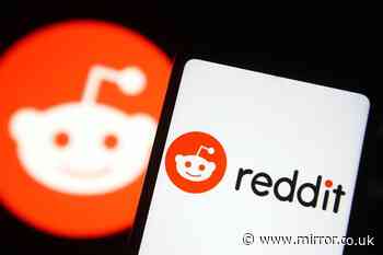 Reddit down as users hit with 502 bad gateway report on app and website